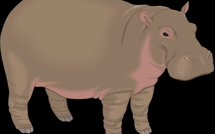 Бегемот рисунок для детей 1 900x674