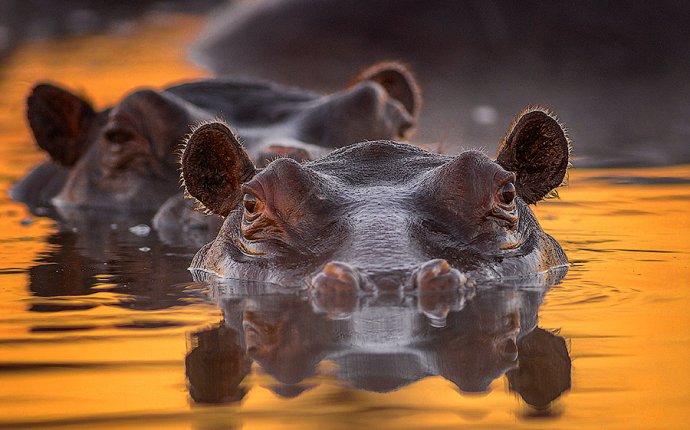 Photographer Сергей Иванов (Sergey Ivanov) - Восходящее солнце