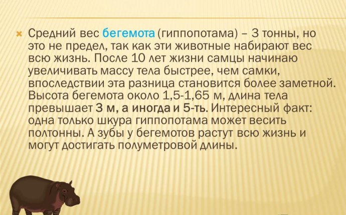 Презентация на тему: Несколько миллионов лет назад динозавры были