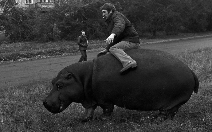 Странная фотография из Р - Мозаика странностей