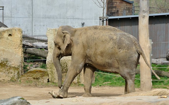 Зоопарк в Праге | Satinenok s Blog