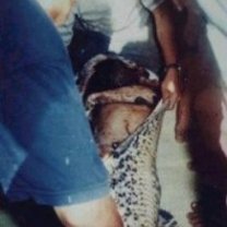 1296403462752snakehumaneater2