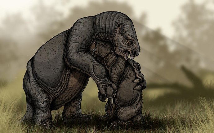 Носорог Против Бегемота